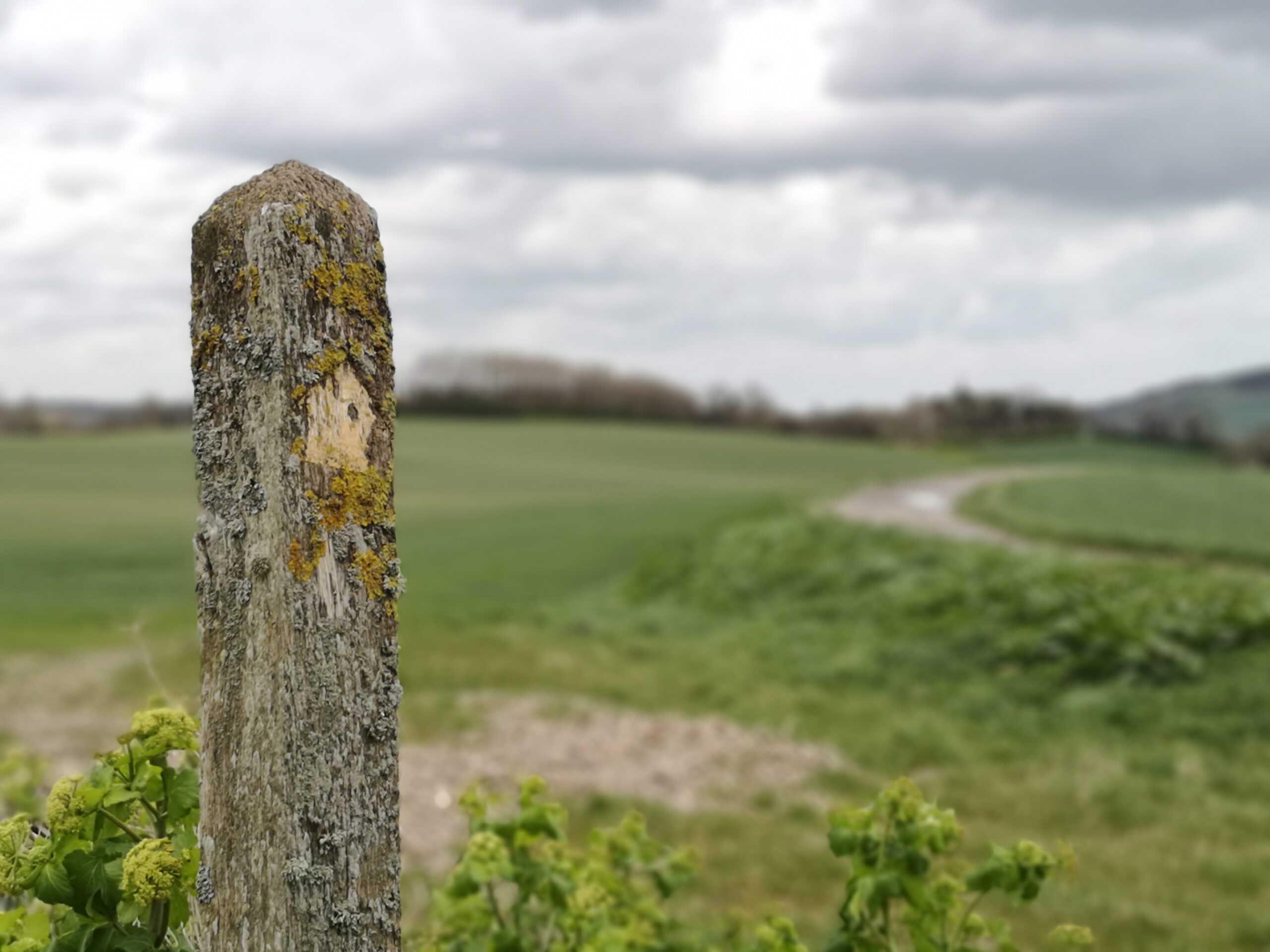 Directional arrow pointing to a path