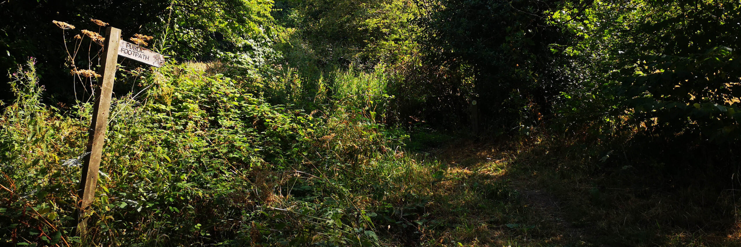 Directional Footpath Sign